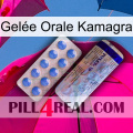 Gelée Orale Kamagra 39